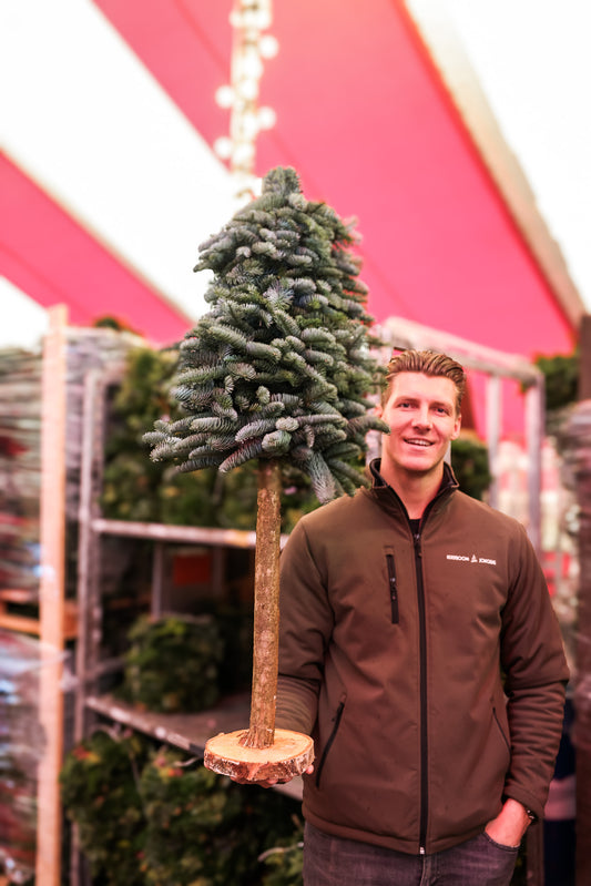 Nobilis kerstboom L op stam